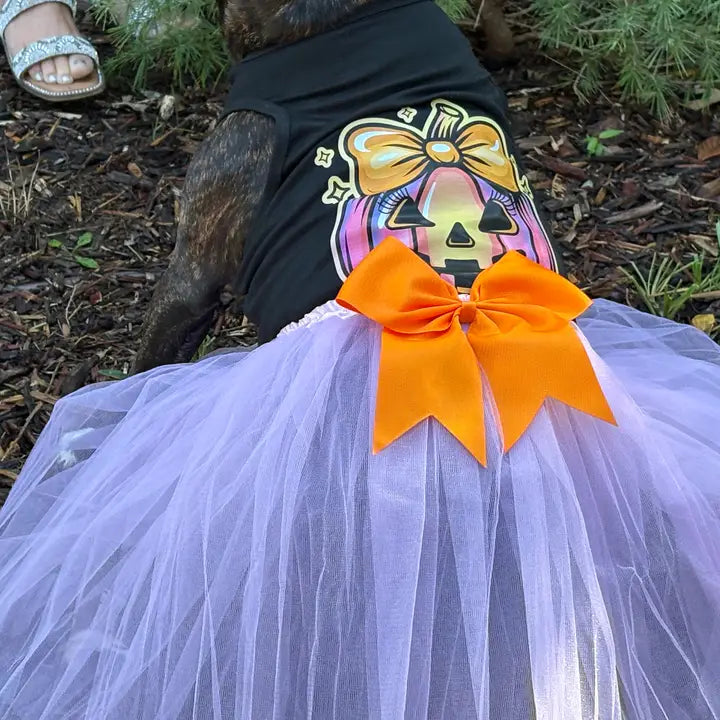 Halloween Dog Costume | Coquette Pumpkin